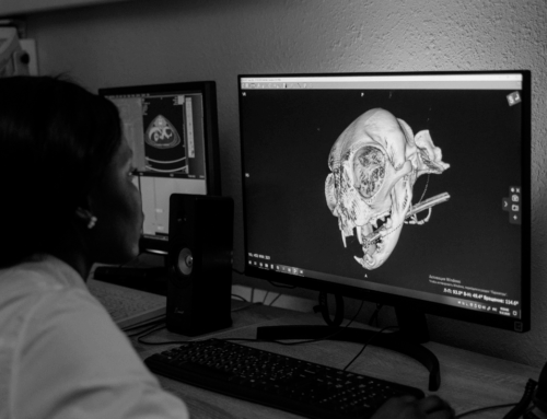 Telerradiologia: Sua clínica já está pronta e você talvez não saiba