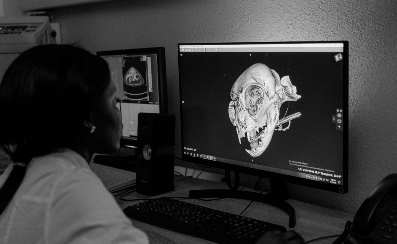 infraestrutura para telerradiologia