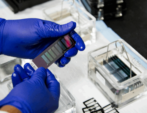 Prêmio Nobel de Medicina: o que as descobertas premiadas revelam sobre o futuro da saúde